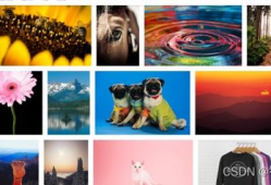 免费原创情感短视频素材,免费原创短视频素材中的温馨故事